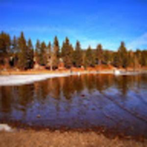 Meet your Posher, Janice